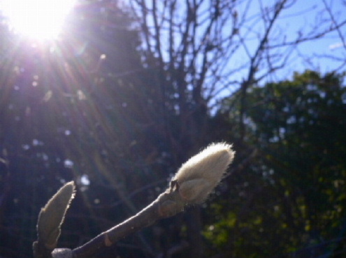 a0063364_22253665.jpg