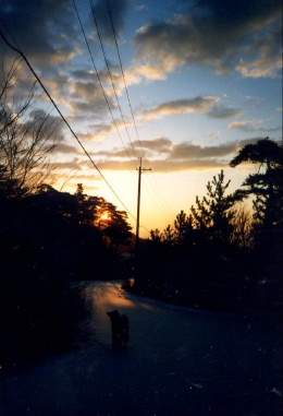 a0063364_2231340.jpg