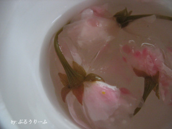 c0027369_23373234.jpg