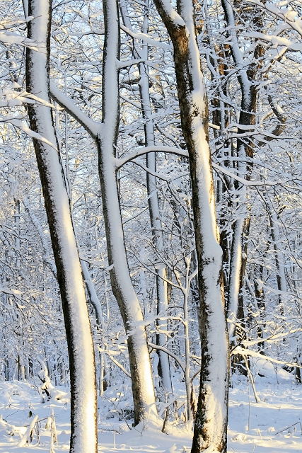 e0100772_22113449.jpg