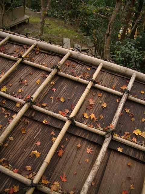 f0089079_116072.jpg