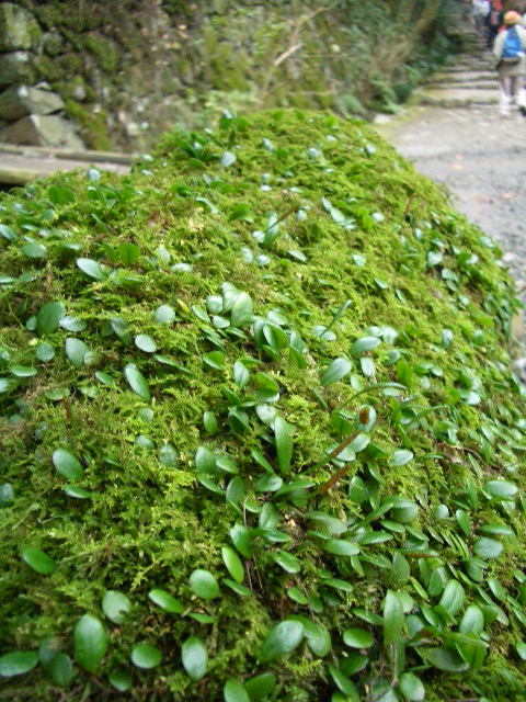 f0089079_116572.jpg