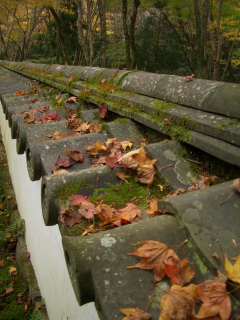 f0089079_1172380.jpg