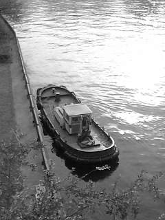 f0100480_332980.jpg