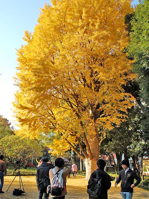c0009981_6295317.jpg