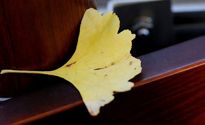 c0009981_6302596.jpg