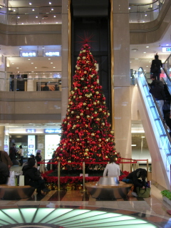 a0045688_0313382.jpg