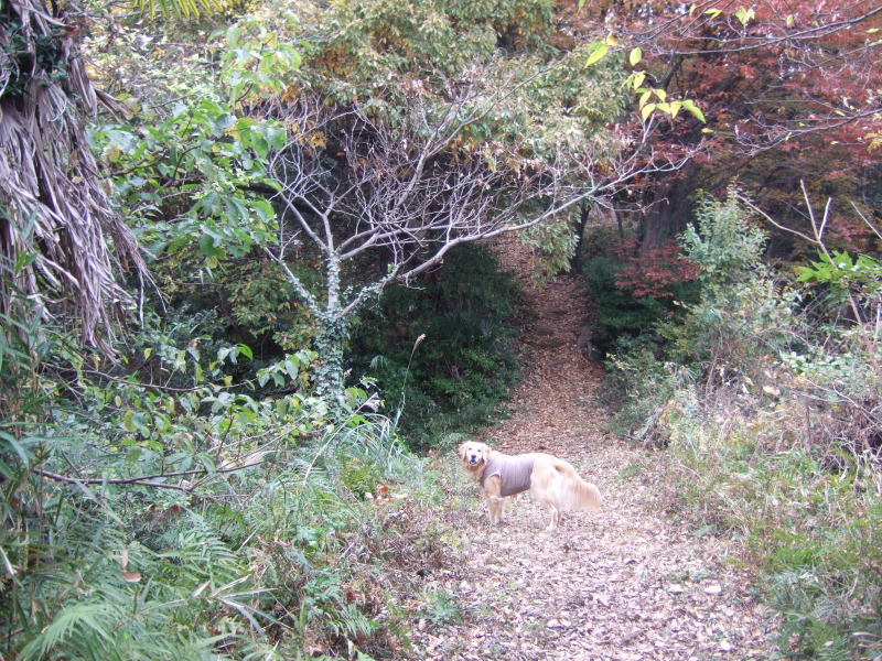 c0104492_0105445.jpg