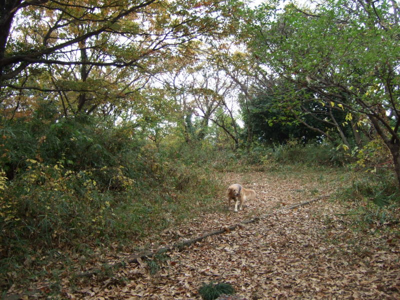 c0104492_0121470.jpg