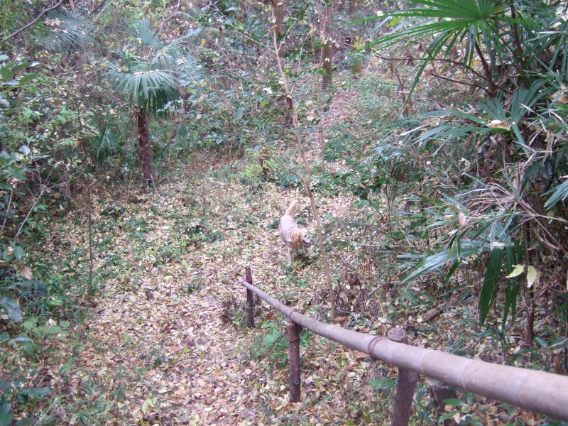 c0104492_015454.jpg