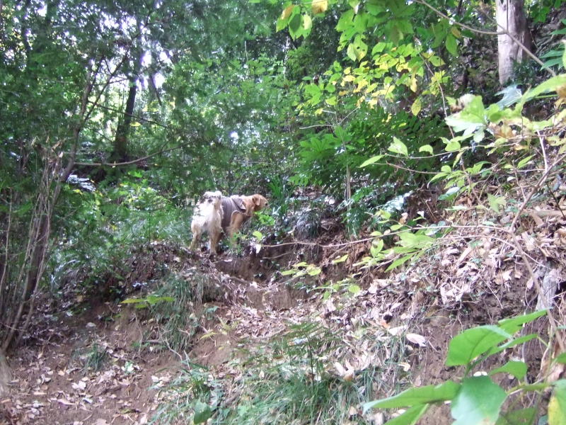 c0104492_075691.jpg