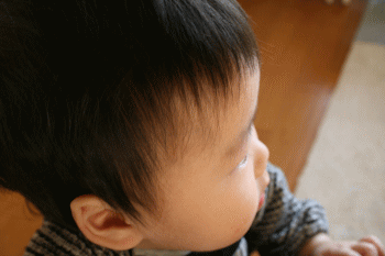 d0100192_20373984.gif