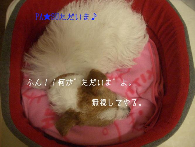 a0051402_23385819.jpg
