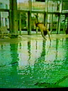 c0082504_16303924.jpg