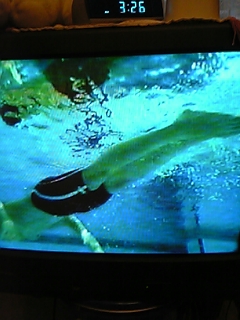 c0082504_16305429.jpg