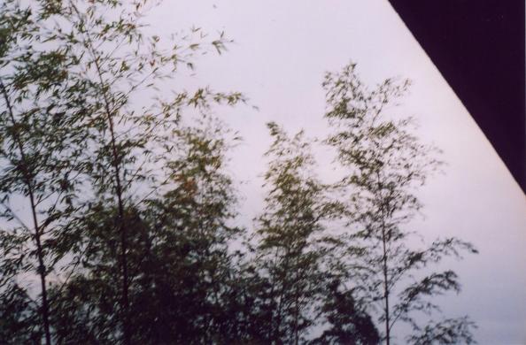 d0071507_22242663.jpg