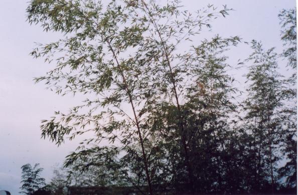 d0071507_22245086.jpg