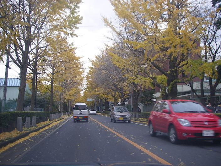 c0097309_1011241.jpg