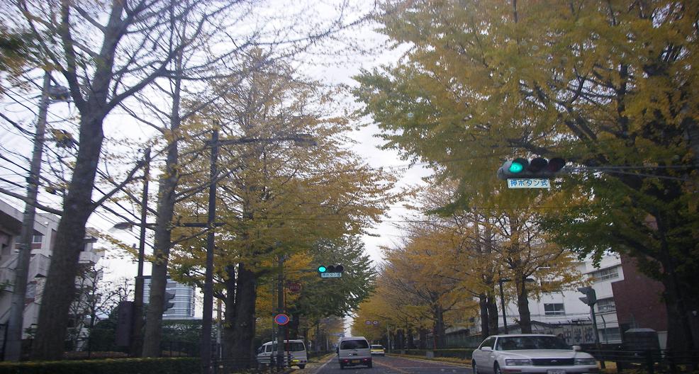 c0097309_1012475.jpg