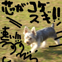 c0036617_1832385.jpg