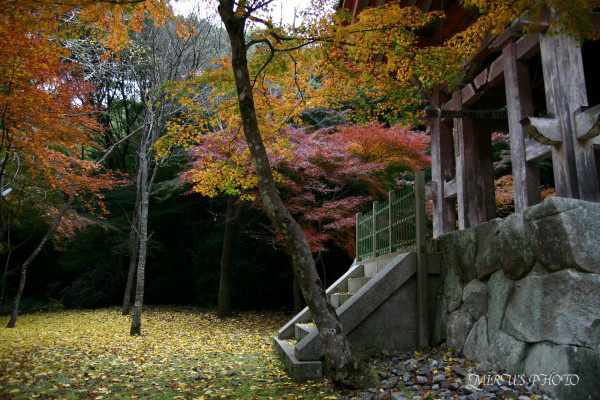c0037519_23324310.jpg
