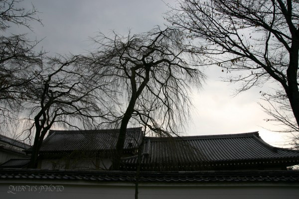 c0037519_621031.jpg