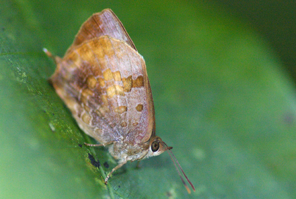 d0090322_2352997.jpg