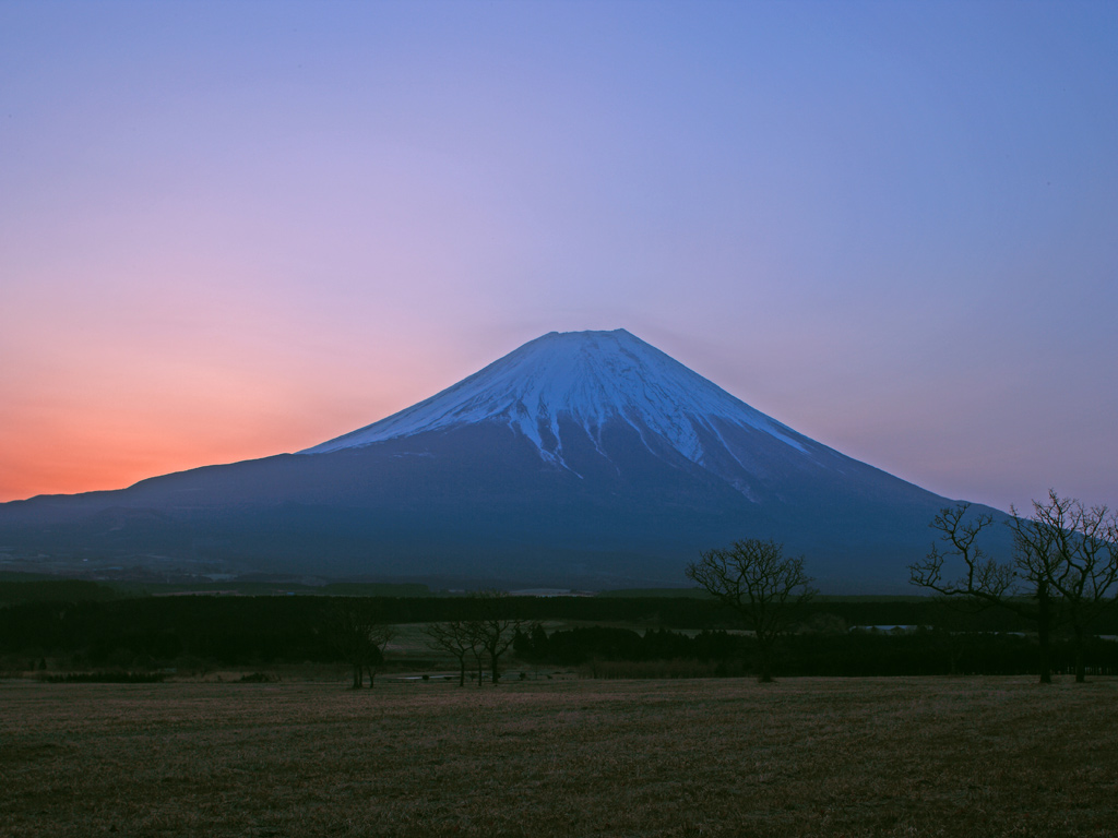 f0035323_9284133.jpg