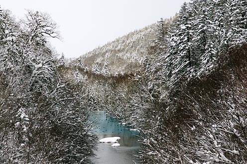 e0025030_1653356.jpg
