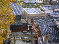 a0055835_12421343.jpg