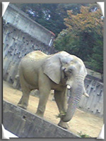 d0048140_14374341.jpg
