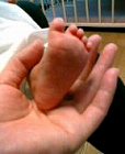 c0042941_1133198.jpg