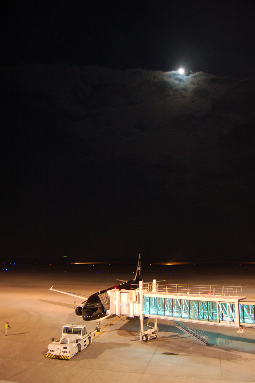 c0015444_1433386.jpg