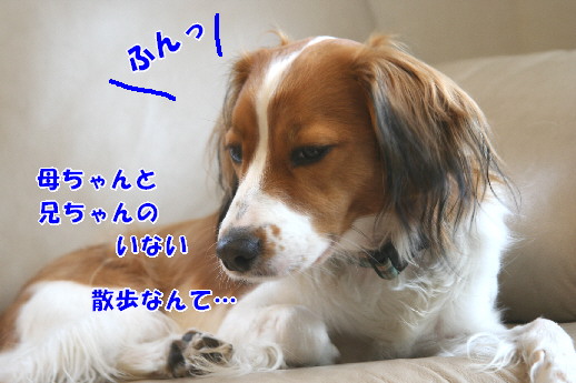 d0013149_0113561.jpg