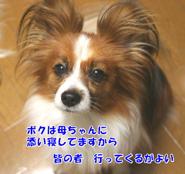 d0013149_08133.jpg