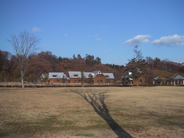 f0046250_23472373.jpg