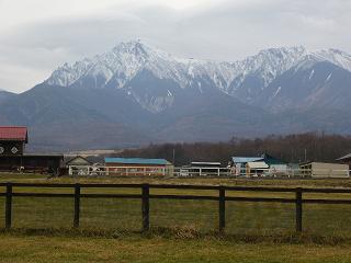 f0050955_143774.jpg