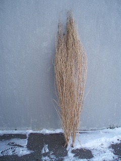 e0004756_21193042.jpg