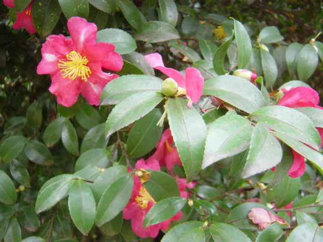 f0036857_19522241.jpg