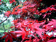 d0029958_19194972.jpg