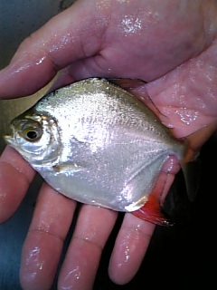 f0009758_20222011.jpg