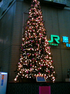 b0082863_0145231.jpg