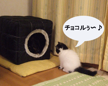 c0012571_12271278.gif