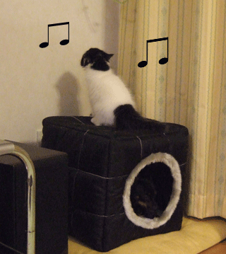 c0012571_12283848.gif
