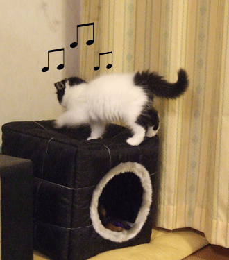 c0012571_1228646.gif
