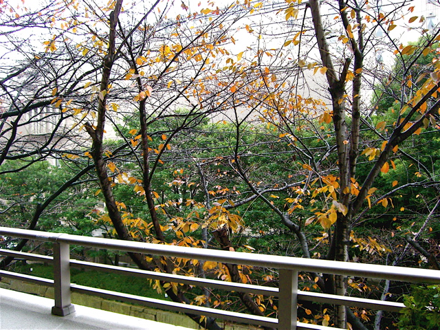 e0018777_1142446.jpg