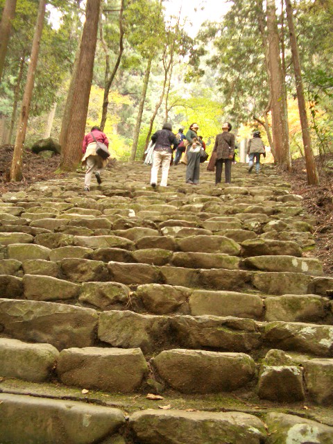 f0089079_0312298.jpg