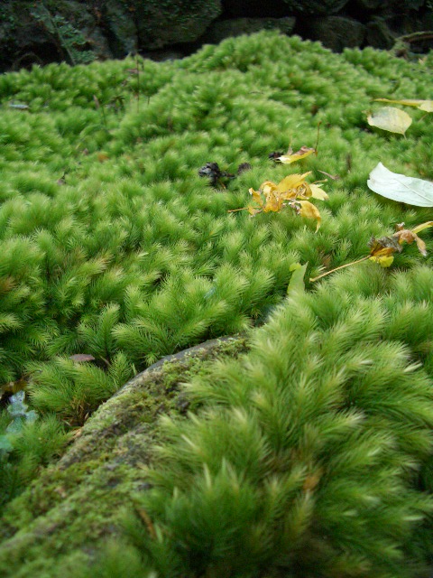 f0089079_0501666.jpg
