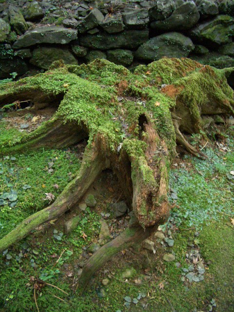 f0089079_0515492.jpg