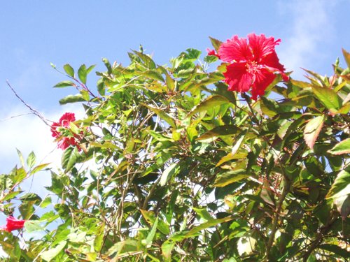 f0083281_21464083.jpg
